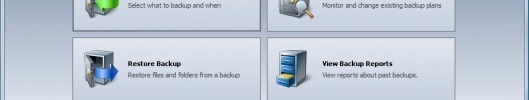 Ocster Backup Pro